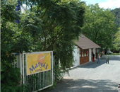 ݿвϣׁǼ(j)l(xing)Camp Matyas¶I