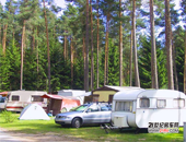 ~ǼɭWaldsee¶I