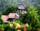 2005걱¶I(hu)8ѮڑŹȿ_Ļ