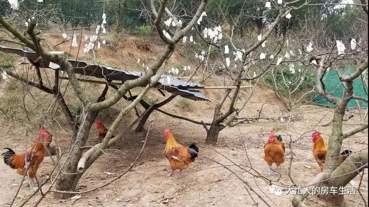 ΢ňDƬ_20180514171309.jpg