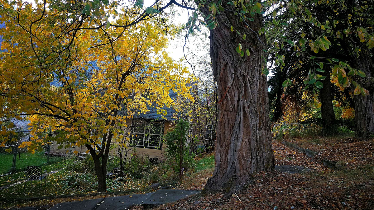 ΢ňDƬ_20181011085906.jpg