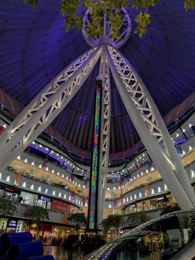 58.jpg