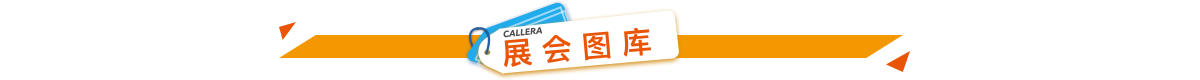 չD.png
