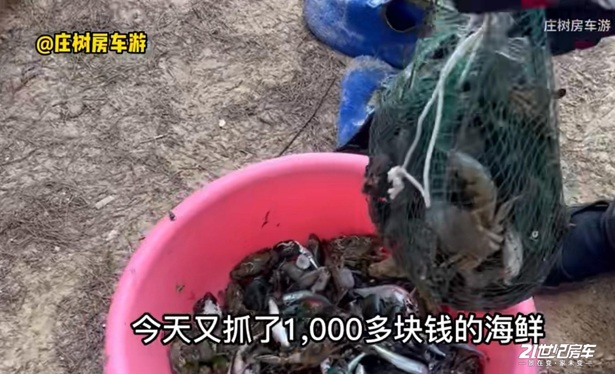 囄13.jpg